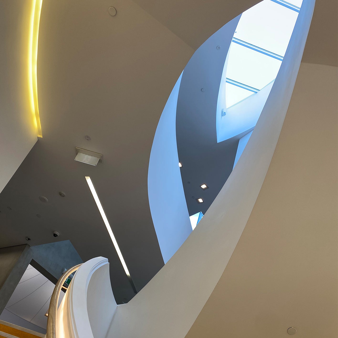 Kiji Sensu / Japanese Folding Fan, 2025